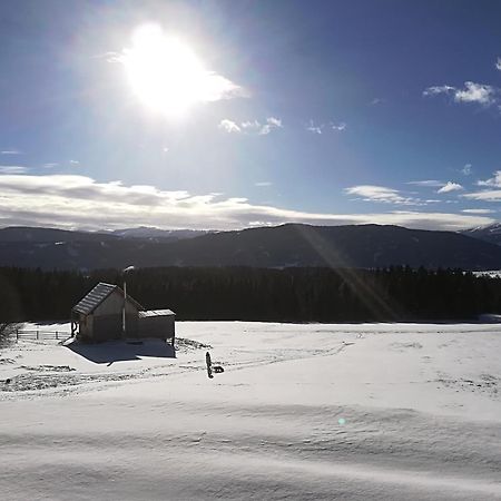 Vila Praschhof Mariapfarr Exteriér fotografie