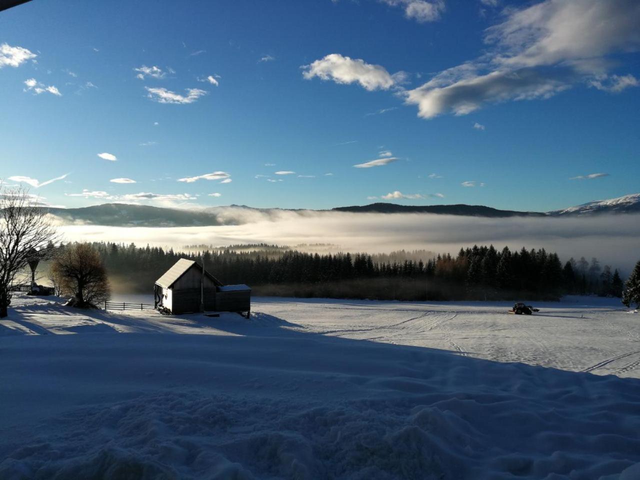 Vila Praschhof Mariapfarr Exteriér fotografie