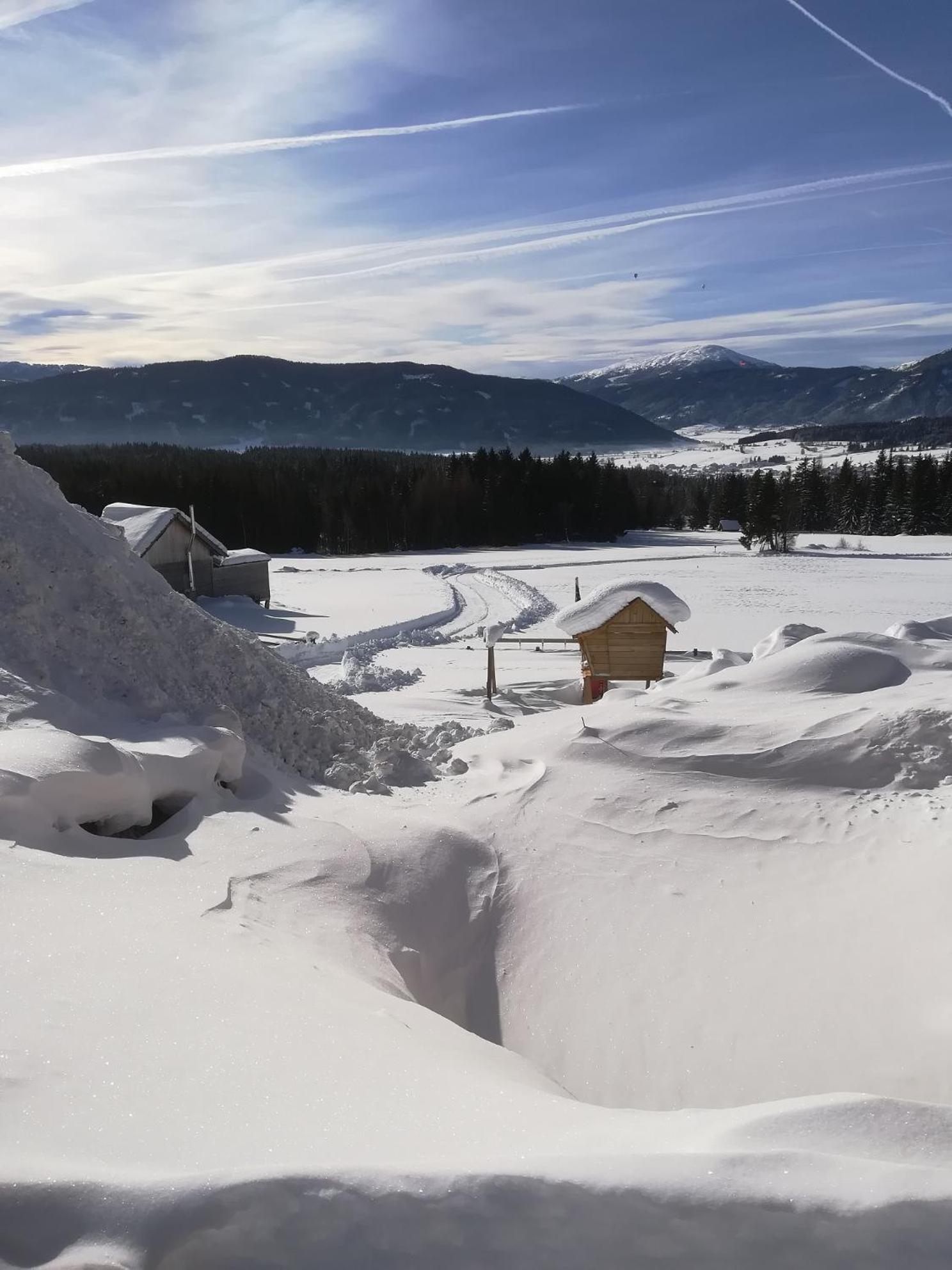 Vila Praschhof Mariapfarr Exteriér fotografie